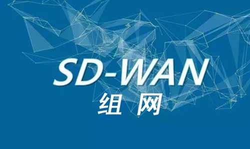SD-WAN組網